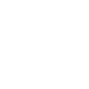 Service_Icon_Dollar